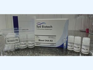 Blood DNA kit