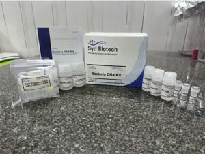 Bacteria DNA kit