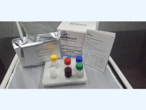 Cat SDMA(Symmetric dimethylarginine) ELISA Kit